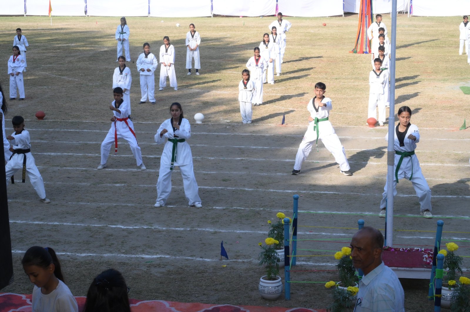 Martial arts demonstration